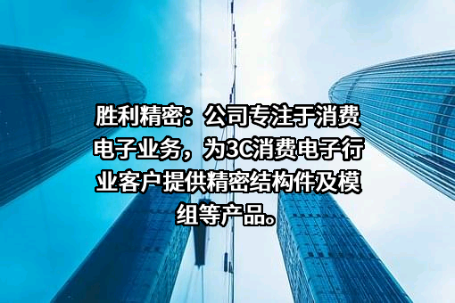 苏州胜利精密制造科技股份有限公司
