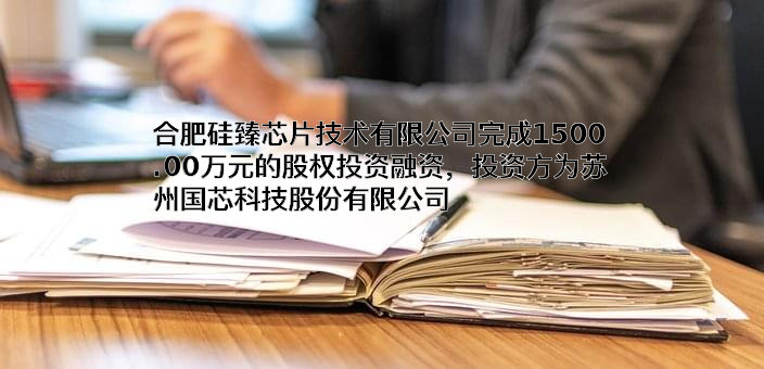 合肥硅臻芯片技术有限公司