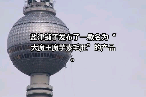 盐津铺子食品股份有限公司