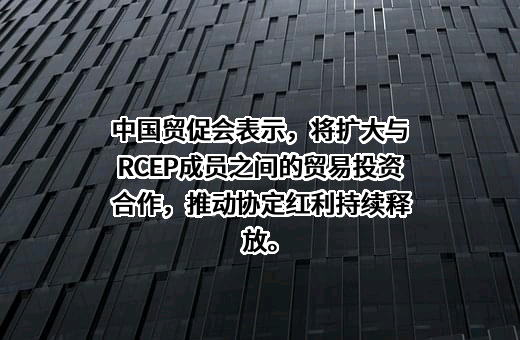 中国贸促会专利商标事务所有限公司