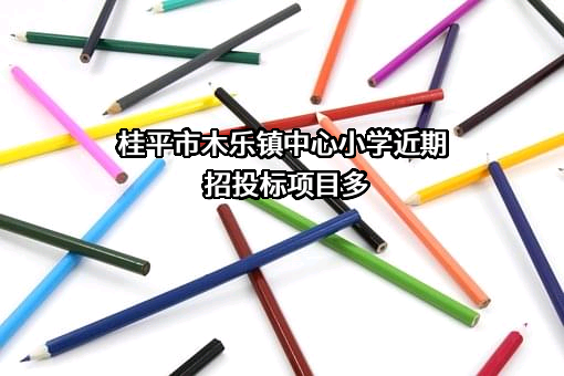 桂平市木乐镇中心小学