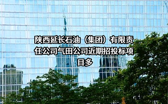 陕西延长石油（集团）有限责任公司气田公司