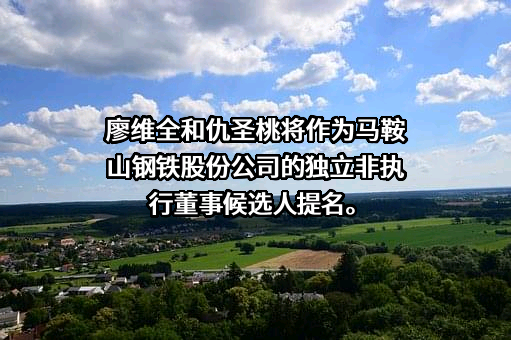马鞍山钢铁股份有限公司