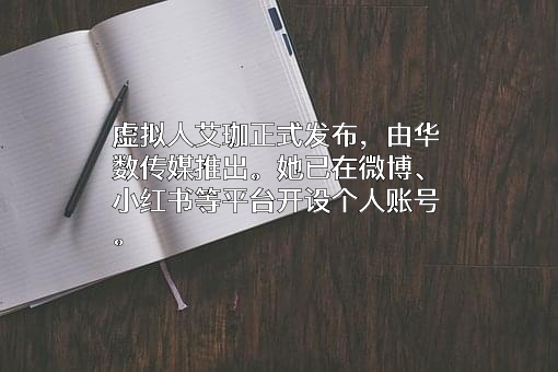 华数传媒控股股份有限公司