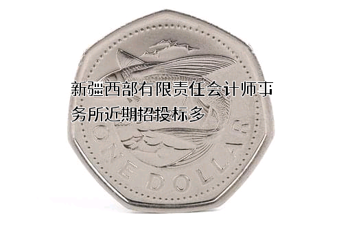 新疆西部有限责任会计师事务所
