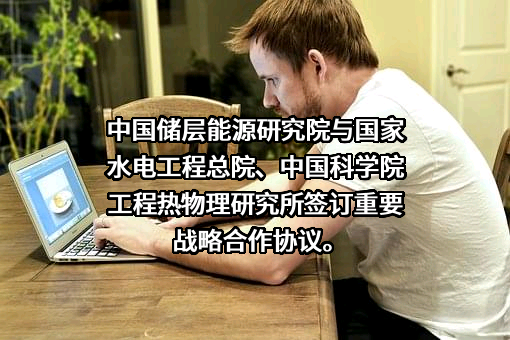 中储国能（北京）技术有限公司