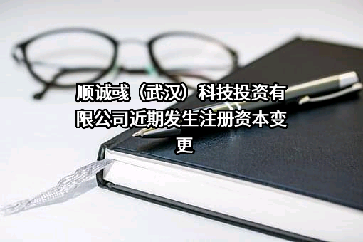 顺诚彧（武汉）科技投资有限公司