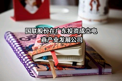 北京国联视讯信息技术股份有限公司