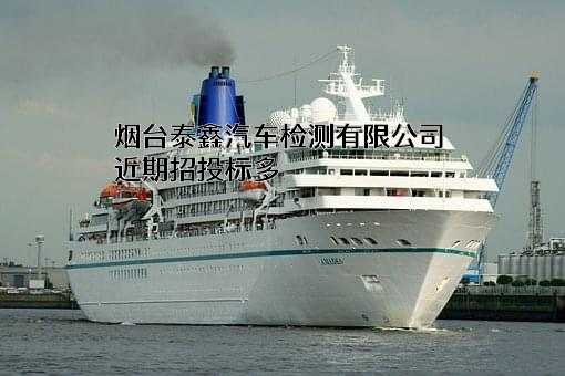 烟台泰鑫汽车检测有限公司