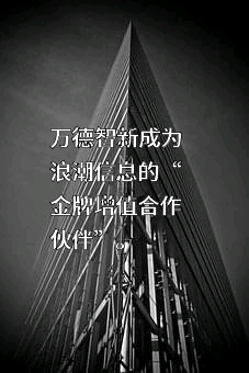 浪潮电子信息产业股份有限公司