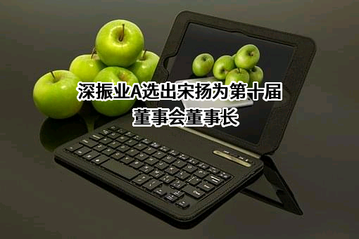 深圳市振业（集团）股份有限公司