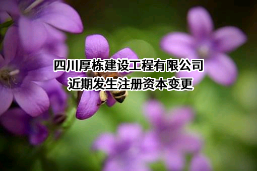 四川厚栋建设工程有限公司