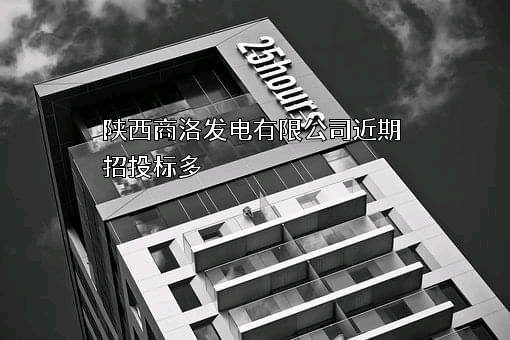 陕西商洛发电有限公司