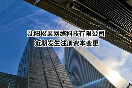 沈阳松果网络科技有限公司