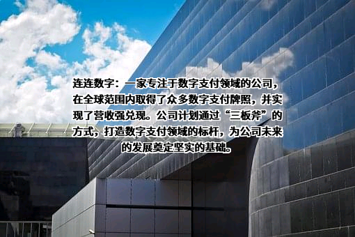 连连数字科技股份有限公司