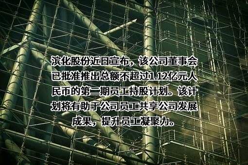 滨化集团股份有限公司