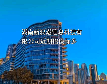 湖南新浪潮信息科技有限公司