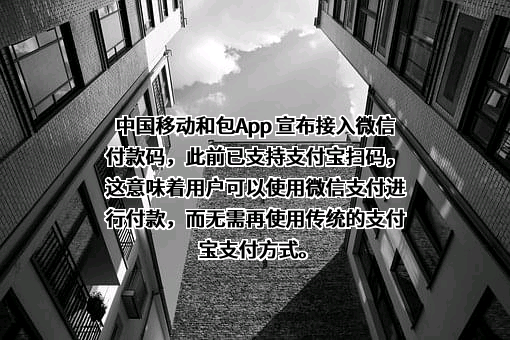 中国移动有限责任公司
