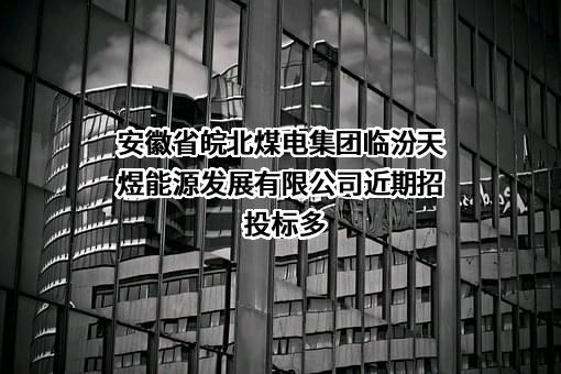 安徽省皖北煤电集团临汾天煜能源发展有限公司