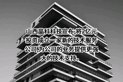 晶科电力科技股份有限公司