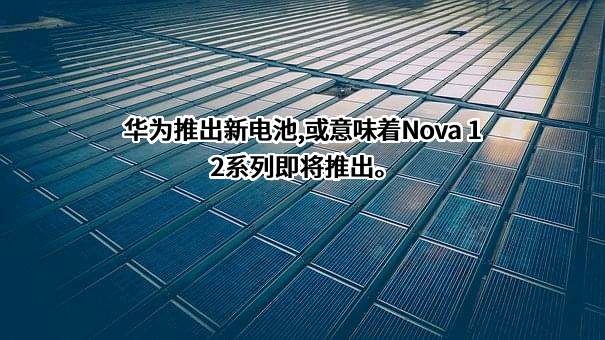 华为技术有限公司