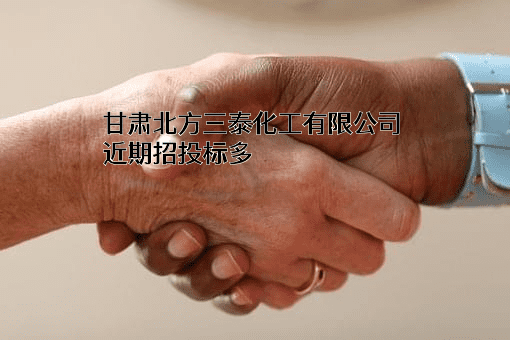 甘肃北方三泰化工有限公司近期招投标项目多