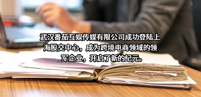 武汉番茄互娱传媒有限公司