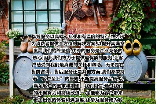 华为技术有限公司