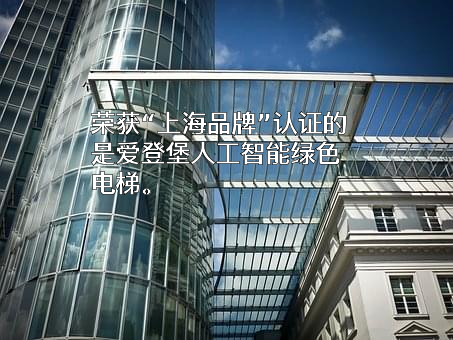 上海爱登堡电梯集团股份有限公司