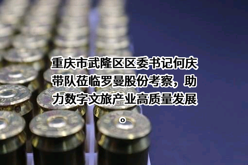 上海罗曼照明科技股份有限公司