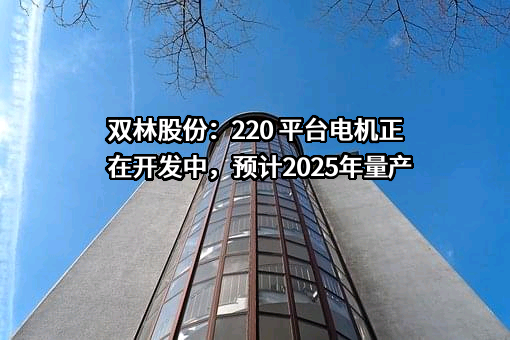 双林股份：220 平台电机正在开发中，预计2025年量产