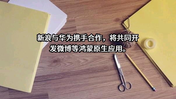 北京新浪互联信息服务有限公司