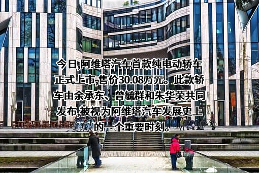 华为技术有限公司