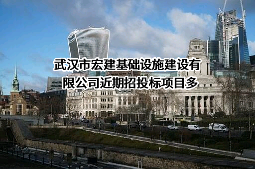 武汉市宏建基础设施建设有限公司