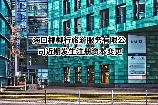 海口椰椰行旅游服务有限公司