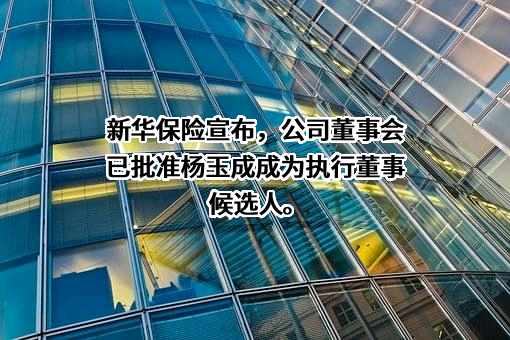 新华人寿保险股份有限公司