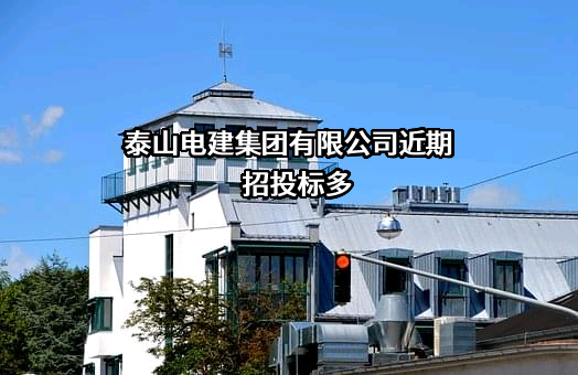 泰山电建集团有限公司