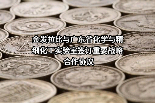 化学与精细化工广东省实验室