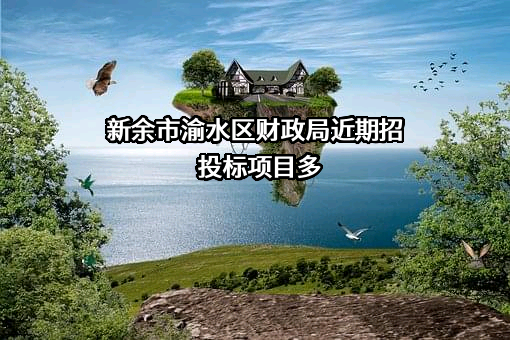 新余市渝水区财政局近期招投标项目多