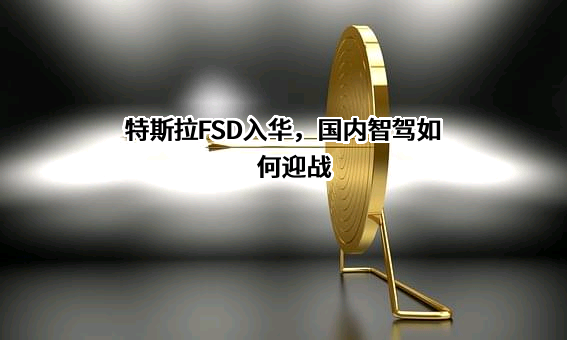 特斯拉（上海）有限公司