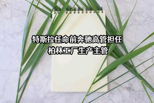 特斯拉（上海）有限公司