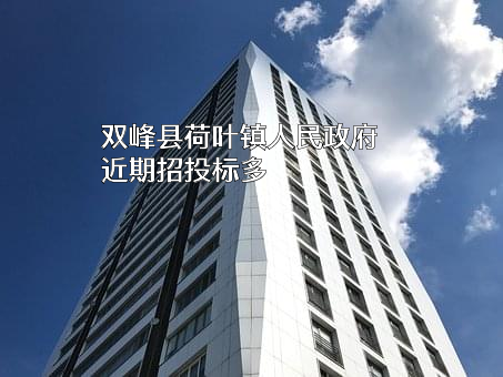 双峰县荷叶镇人民政府近期招投标项目多