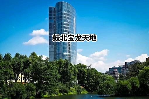 宝龙地产控股有限公司