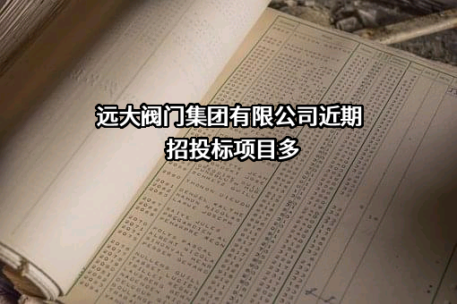 远大阀门集团有限公司