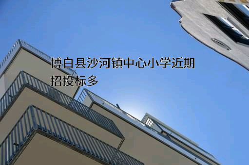 博白县沙河镇中心小学