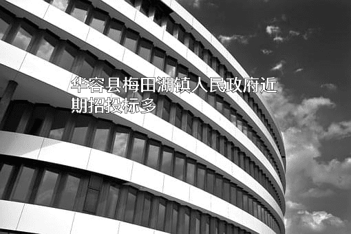 华容县梅田湖镇人民政府