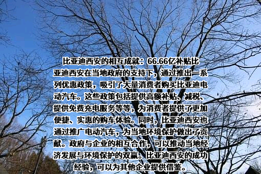 比亚迪股份有限公司