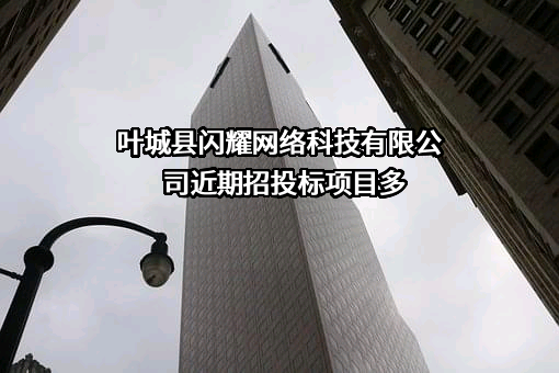 叶城县闪耀网络科技有限公司