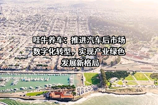 广州改啊汽车科技有限公司