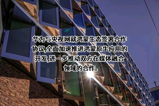 央视国际网络有限公司
